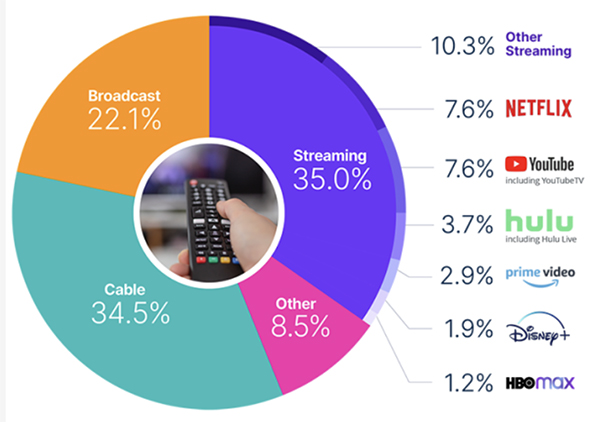 Example donut chart for The Gauge